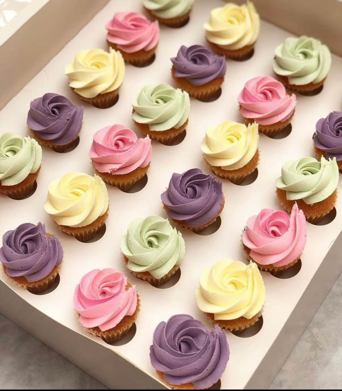Medium Cupcake Box
