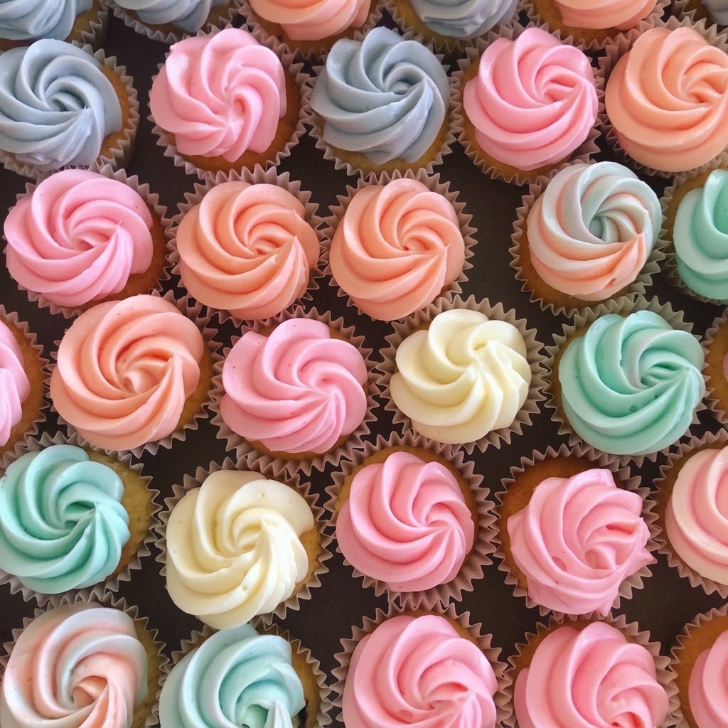 Medium Cupcake Box
